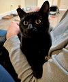 WILLOW #1778 - Offered by Owner -