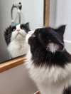 BIG & FLOOFY #2 - Milan and Mahi