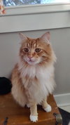 LEO & MIKEY #1788 - Offered by Owner - Bonded