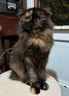 FRANCIS #1789 - Offered by Owner