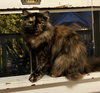 FRANCIS #1789 - Offered by Owner