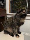 FRANCIS #1789 - Offered by Owner