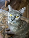 CLOUDY #1792 - Offereed by Owner