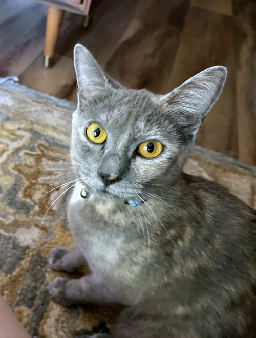 CLOUDY #1792 - Offereed by Owner