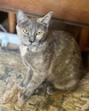 CLOUDY #1792 - Offereed by Owner