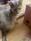 CLOUDY #1792 - Offereed by Owner
