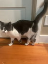 APOLLO & LECHE 1796 - Offered by Owner- Bonded