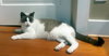 APOLLO & LECHE 1796 - Offered by Owner- Bonded