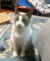 APOLLO & LECHE 1796 - Offered by Owner- Bonded