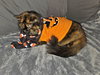 ZOE#1805 - Offered by Owner - Gentle Senior