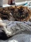 BELLA & SARAH #1808 - Offered by Owner -Bonded