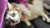 BELLA & SARAH #1808 - Offered by Owner -Bonded