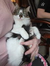BELLA & SARAH #1808 - Offered by Owner -Bonded