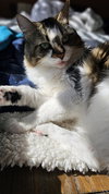 BELLA & SARAH #1808 - Offered by Owner -Bonded