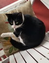 2 SIBLINGS #1747 -Offered by Owner- Young in/out