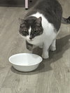 CLEO #1750n - Offered by Owner - Friendly Girl