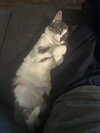 CLEO #1750n - Offered by Owner - Friendly Girl