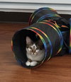BELLE #1753n - Offered by Owner - Young female