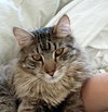 WILBUR #1754n - Offered by Owner - Indoor/ourdoor