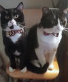 JACK & JOHNNY #1773 -Offered by Owner -In-Out Pair