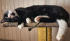 JACK & JOHNNY #1773 -Offered by Owner -In-Out Pair