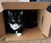 JACK & JOHNNY #1773 -Offered by Owner -In-Out Pair