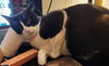 JACK & JOHNNY #1773 -Offered by Owner -In-Out Pair