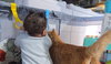 SIMBA #1777 - Offered by Owner