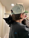 SILAS #1779 - Offered by Owner -Young Male