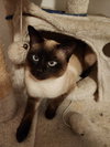 Finn & Simon
