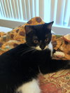 LUCY #1785 - Offered by Owner -