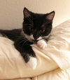 LUCY #1785 - Offered by Owner -