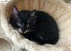 LUCY #1785 - Offered by Owner -