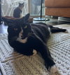 POPPI & BELLA #1786 - Offered by Owner - Bonded