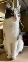 POPPI & BELLA #1786 - Offered by Owner - Bonded