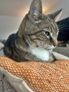CAPER #1789 - Offered by Owner - Senior in/out