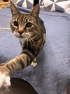 CAPER #1789 - Offered by Owner - Senior in/out