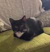 ARTHUR #1795 - Offered by Owner- Teen