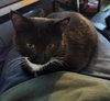 ARTHUR #1795 - Offered by Owner- Teen