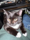 ARTHUR #1795 - Offered by Owner- Teen