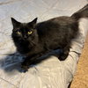 DELILAH #1815 - Offered by Owner