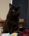 DELILAH #1815 - Offered by Owner