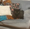 DELILAH #1815 - Offered by Owner