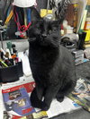 DOLLY & SMOKEY #1820 - Offered by Owner - Outside