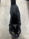 DOLLY & SMOKEY #1820 - Offered by Owner - Outside