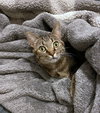 BELLA #1830 - Offered by Owner - Family Friendly