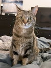 BELLA #1830 - Offered by Owner - Family Friendly