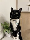 EARL  #1832- Offered by Owner - A family guy!