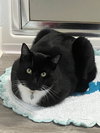 EARL  #1832- Offered by Owner - A family guy!