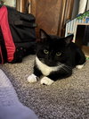 EARL  #1832- Offered by Owner - A family guy!